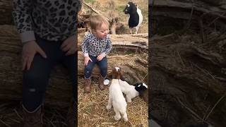 #goats #cute #goat #funny #farmlife #love #youtubeshorts #viral #video