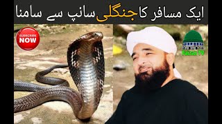 Muhammad saqib raza mustafai | new bayaan | Faizan TV | ایک مسافر کا جنگلی سانپ سے سامنا