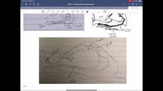 302 11 22 Homework Examples and Feedback