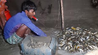 Mixed Fishing Video Of Sundarbans | Fishing Videos | Costal Area Fishing