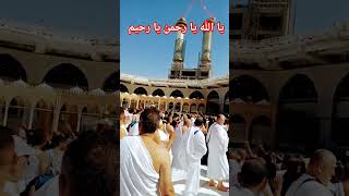 MAKKAH and MADINA is my life #shortyutube #MAKKAH #MADINA #foru #viral#