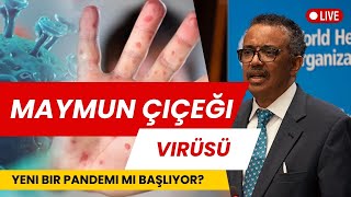 ACİL DURUM İLAN EDİLDİ! TÜRKİYE'DE KAPANMA OLACAK MI? MAYMUN ÇİÇEĞİ VİRÜSÜ ÖLDÜRÜR MÜ?NASIL BULAŞIR?