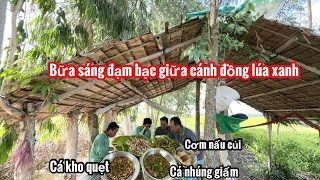 Bội Thu Cá Sau Đêm Mưa • Bữa Cơm Đạm Bạc Giữa Cánh Đồng Lúa Đơm Bông • Fish