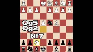 CHECKMATE in 7! (BS GAMBIT)