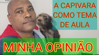 TER ANIMAIS SILVESTRES COMO PET A HISTÓRIA DA CAPIVARA CHEGOU NA MINHA SALA DE AULA #dicasdoiristeu