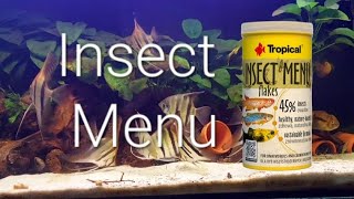 Tropical Insect Menu ( Novidade )