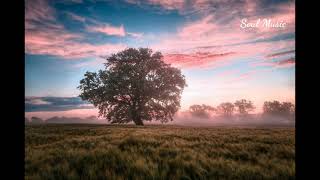 Journey by Keys of Moon | relaxing music | help to deep Sleep | nature view sweét