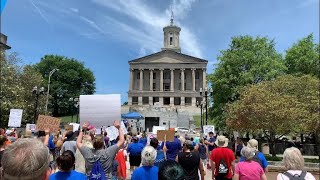 Gun Reform March to the Capitol