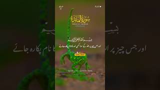 SURAH AL MAIDAH | VERSES (03) Quran Urdu Translation | With Text Fateh Muhammad Jalandheri #ytshorts