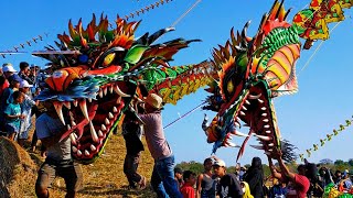 Panjang 100 Meter Layangan Naga Senopati di Festival Layang-layang Nasional Desa Beji Tuban