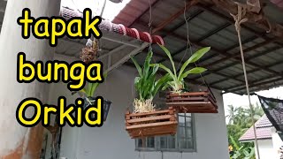 Tutorial buat bekas gantung bunga ORKID - simple dan mudah