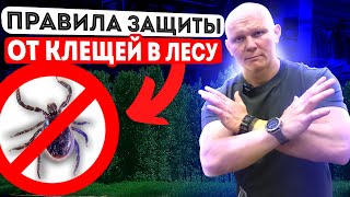 Сделай это и клещ никогда не укусит! Правила для похода в лес от Эда Халилова