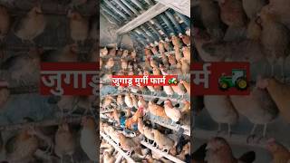 काम जगह में मुर्गी फॉर्म अपने ही घर पर.|| Chicken 'farm at your own home in less space ||