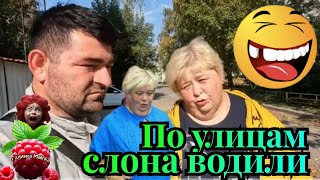 Ольга Уралочка live / Шок /По улицам слона водили /Обзор /Уралочка и Сафар