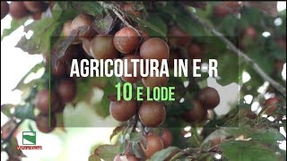 01 AGRICOLTURA IN E R : 10 e lode