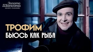 ТРОФИМ - Бьюсь как рыба [Official Video HD] @ЗолотоШансона