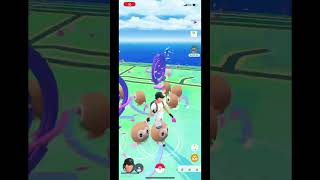 [Pokémon Go] (Walking with Rowlet)