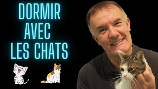 Asmr Dormir avec mes chats 🐱