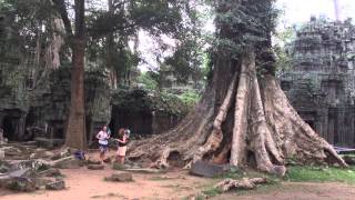 Ta Prohm 5