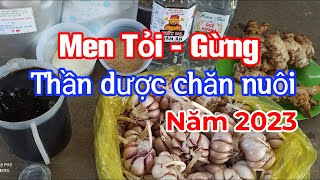 MEN TỎI-GỪNG|THẦN DƯỢC TRONG CHĂN NUÔI NĂM 2023☎️0372225255