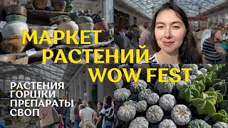 маркет РАСТЕНИЙ WOW FEST в Санкт-Петербурге | ВНЕЗАПНЫЙ визит в Make More Plants | мои ПОКУПКИ 🎉