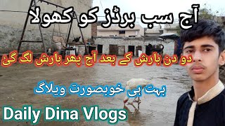 Aj sb birds ko khola barish lg gaye🌧🌩|mini zoo pet vlogs|My morning routine|Daily Dina Vlogs