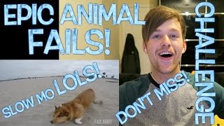 EPIC ANIMAL FAILS! HILARIOUS FAILS XD