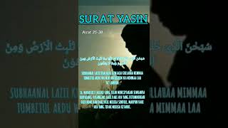 Hafalan Ayat 35-38, Surat Yasin semoga kita di jauhkan dari jin dan Saiton #suratyasin