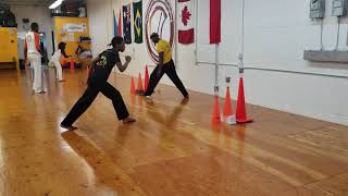 Capoeira students bottle kicking to work accuracy.