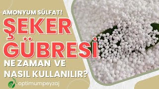 ŞEKER GÜBRESİ HANGİ BİTKİYE HANGİ ORANDA KULLANILIR? ŞEKER GÜBRESİ HANGİ BİTKİLERE KULLANILIR?