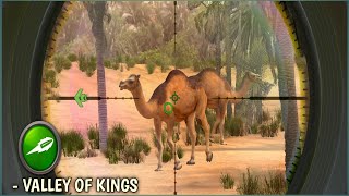 Hunting | Valley of Kings | Animals in Hunting clash