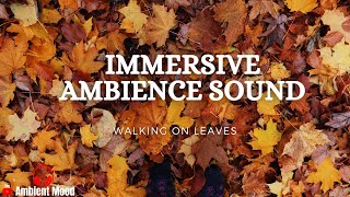 Immersive Ambience Sounds : Walking on Autumn Leaves Ambience Sound | Relaxing Ambience | 1 Hour