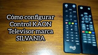 Control KAON. TV SILVANIA. Cómo configurar correctamente.