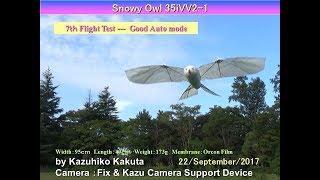 SnowyOwl35iVV2-1: 7th Test Flight  Good Auto mode Flight