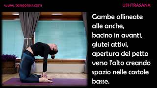 Yoga: USHTRASANA - Posizione del Camello