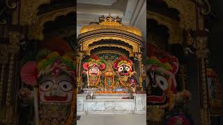 Jay jagannath 🍃🙏#jagannathbhajan #ahemdabad #like