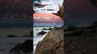 Ziyada Ki Chahat Ney / Best Quotations In Urdu #nfdiary #shortvideo