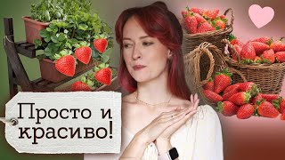 Вертикальная грядка для сада - стеллаж для цветов своими руками | Masherisha