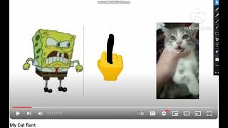 Calling Out @SpongebobandSquidwardYESPa-d6d for ranting on his cat (I QUIT MAKING CALL OUT VIDEOS)