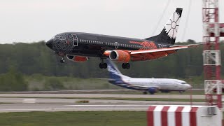 Боинг 737-300 Белавиа "World of Tanks Livery", прилет и вылет из Домодедово, 14.05.24.