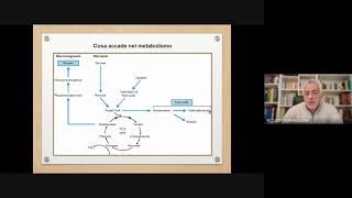 DIETA CHETOGENICA SINTESI 4° webinar