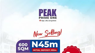 BUY AND BUILD LAND IN SANGOTEDO: PEAK PRIME 1 ESTATE #lagoslands #shortfeed #landsforsale