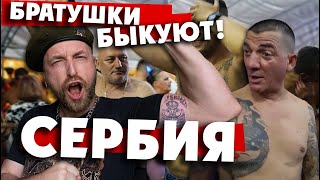 "СЕРБИЯ ГУЛЯЕТ!": сербы-"братушки" наехали на славянок... ЗА ПУТИНА! ЗА РОССИЮ! / русские в сербии