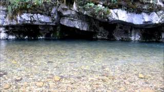 Fly Fishing River Gradac 2013