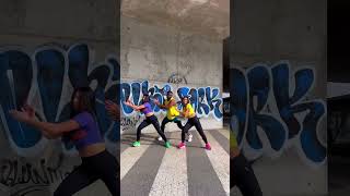 Mano Clap Clap || ZIN 102 || Zumba Fitness || Paloma RC x Tony Mosquera x Isa #zumba#zin102#palomarc