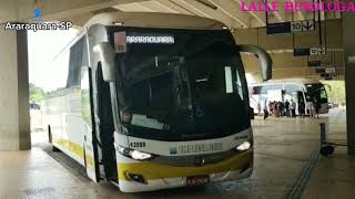 Movimentação Dos Lindos Ônibus Na Rodoviária De Araraquara