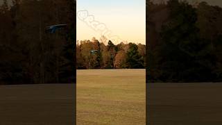 Awesome Very Low Inverted Pass #rcplane #youtubeshorts #aviation #freewing