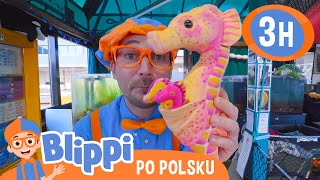 Blippi spotyka morskie stworzenia📙Blippi po polsku📙Nauka i zabawa dla Dzieci