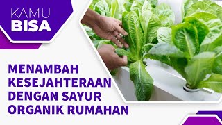 MENAMBAH KESEJAHTERAAN DENGAN SAYUR ORGANIK RUMAHAN