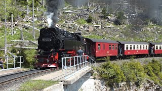 Bilder der Brockenbahn 2023 |Eisenbahnwelt|